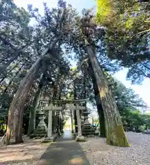 八幡神社(岐阜県)