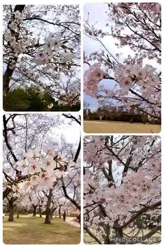 布施弁天 東海寺(千葉県)