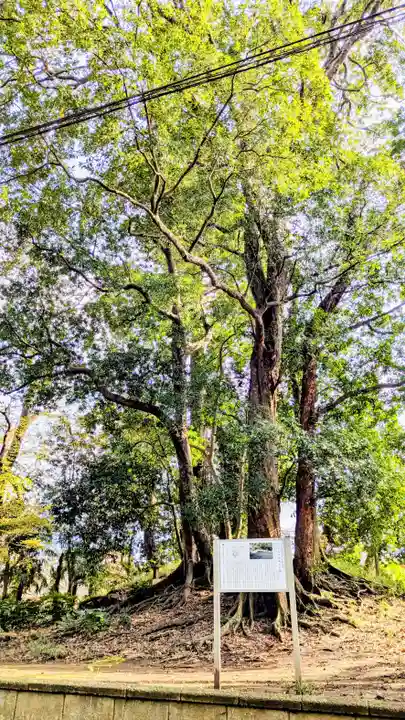 七百餘所神社 の歴史