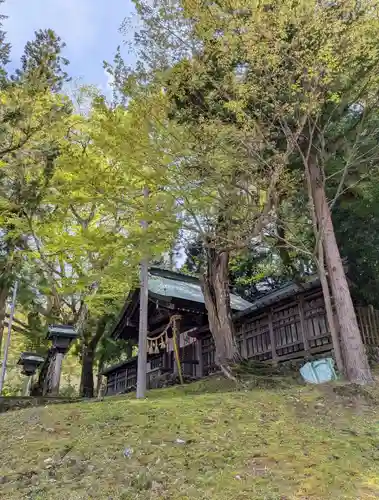 諏訪大社上社前宮(長野県)