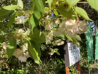 上地八幡宮(愛知県)