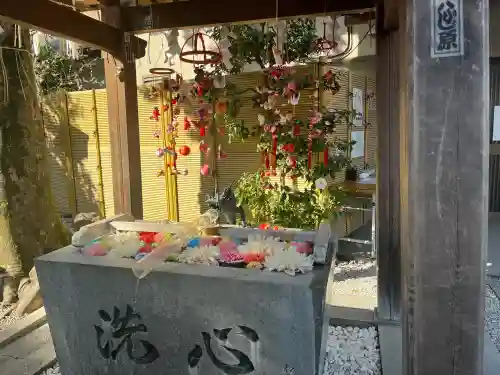 蛇窪神社の{uncategorized: "未分類", other: "その他", undefined: "問題あり", building: "その他建物", grave: "お墓", sacred_gate: "鳥居", guardian: "狛犬", statue: "像", buddha: "仏像", history: "歴史", nature: "自然", garden: "庭園", animal: "動物", pagoda: "塔", temizu: "手水舎", mountain_gate: "山門・神門", sanctuary: "本殿・本堂", subordinate: "末社・摂社", art: "芸術", scenery: "景色", jizo: "地蔵", ema: "絵馬", goshuin: "御朱印", omikuji: "おみくじ", items: "授与品その他", amulet: "お守り", goshuincho: "御朱印帳", eats: "食事", festival: "お祭り", votive_dance: "神楽", shichigosan: "七五三参", wedding: "結婚式", experience: "体験その他", initially: "初詣", around: "周辺", anti_infection: "感染症対策"}