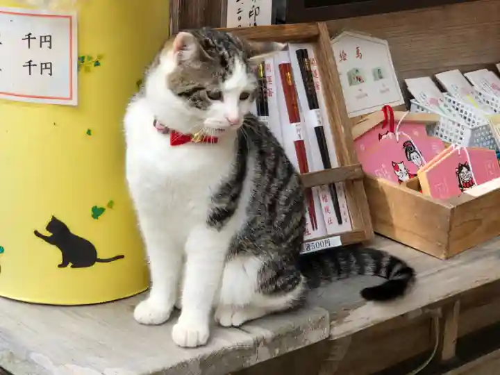 お松大権現の動物