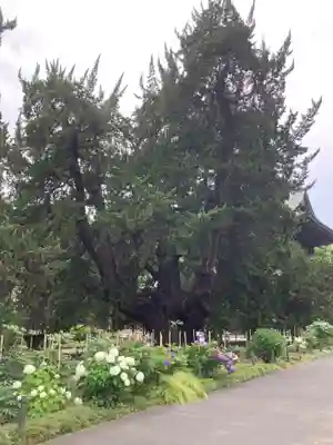 建長寺(神奈川県)