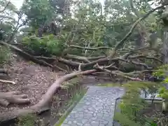 日本寺の建物その他