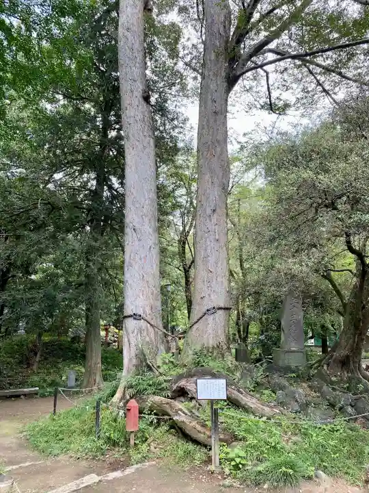 妻沼聖天山歓喜院(埼玉県)