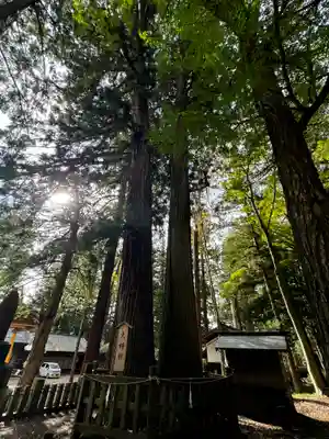 小野神社(長野県)