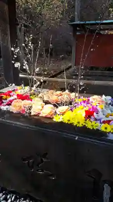 前玉神社(埼玉県)