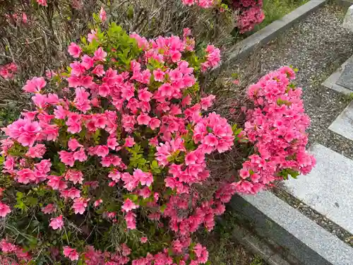 神光寺(徳島県)