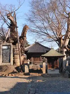 密弘寺(茨城県)