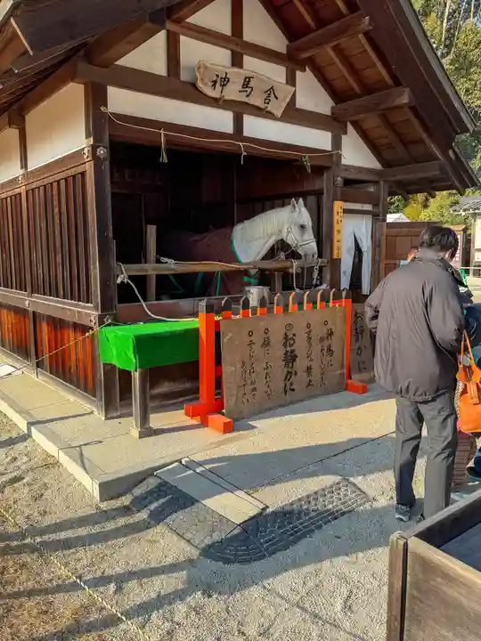 賀茂別雷神社(上賀茂神社)(京都府)