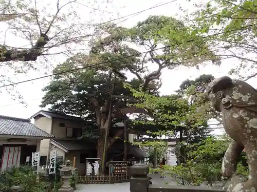 御霊神社のその他建物