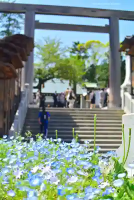 伊勢山皇大神宮(神奈川県)