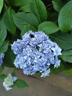 白山神社(東京都)