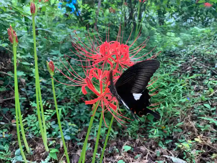 普門寺(切り絵御朱印発祥の寺)(愛知県)