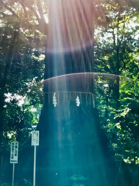 側高神社(千葉県)