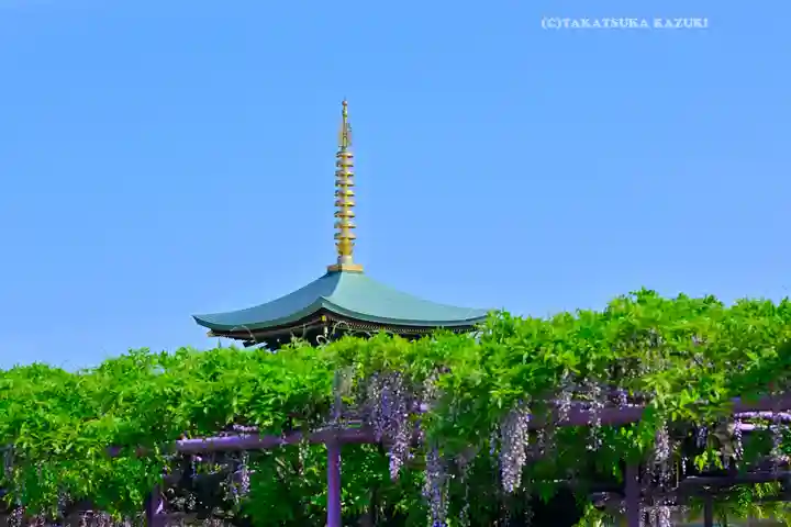 三学院(埼玉県)