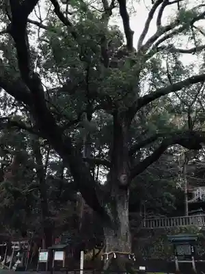 事任八幡宮(静岡県)
