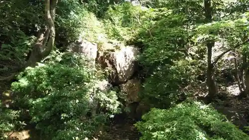 （天安寺）法金剛院の庭園