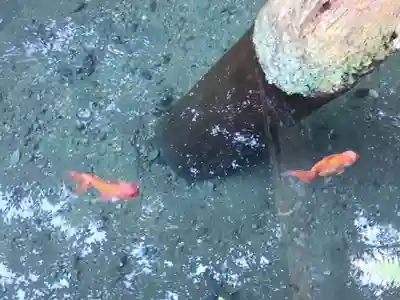 鹿島神宮(茨城県)