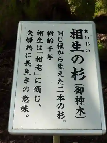 貴船神社の歴史