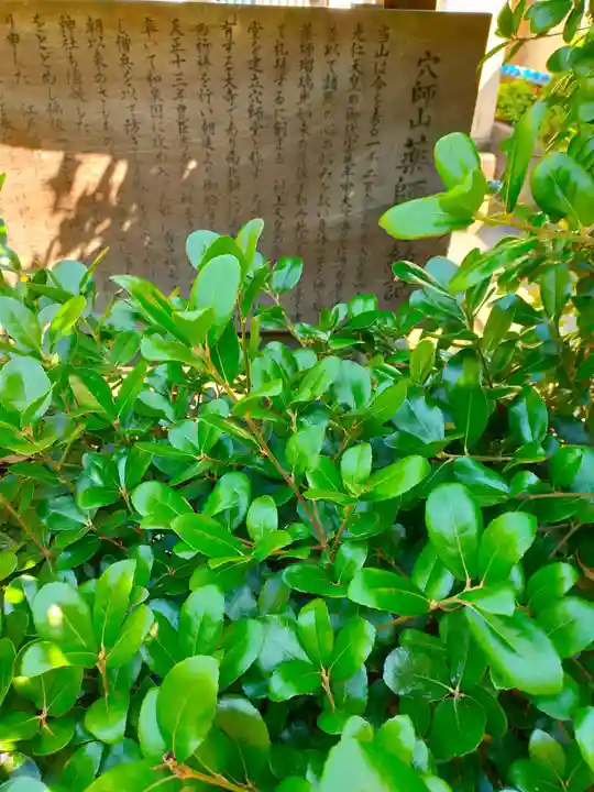 薬師寺(大阪府)