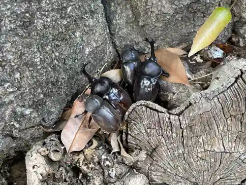 上宮天満宮(大阪府)