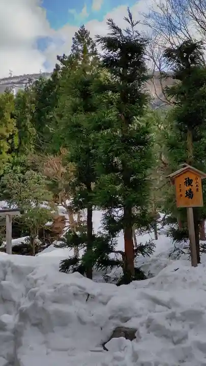 白山比咩神社の自然