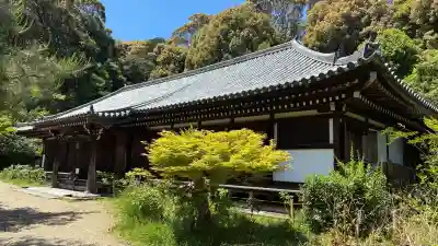 浄瑠璃寺の{uncategorized: "未分類", other: "その他", undefined: "問題あり", building: "その他建物", grave: "お墓", sacred_gate: "鳥居", guardian: "狛犬", statue: "像", buddha: "仏像", history: "歴史", nature: "自然", garden: "庭園", animal: "動物", pagoda: "塔", temizu: "手水舎", mountain_gate: "山門・神門", sanctuary: "本殿・本堂", subordinate: "末社・摂社", art: "芸術", scenery: "景色", jizo: "地蔵", ema: "絵馬", goshuin: "御朱印", omikuji: "おみくじ", items: "授与品その他", amulet: "お守り", goshuincho: "御朱印帳", eats: "食事", festival: "お祭り", votive_dance: "神楽", shichigosan: "七五三参", wedding: "結婚式", experience: "体験その他", initially: "初詣", around: "周辺", anti_infection: "感染症対策"}