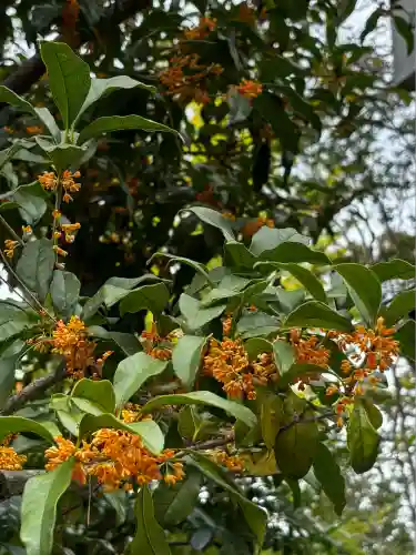 宮山神社(神奈川県)