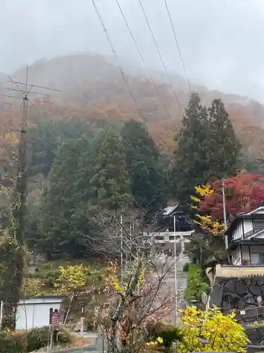 木野山神社の鳥居