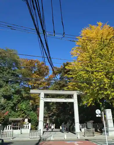 阿佐ヶ谷神明宮(東京都)