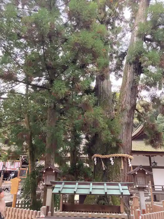 大神神社の自然