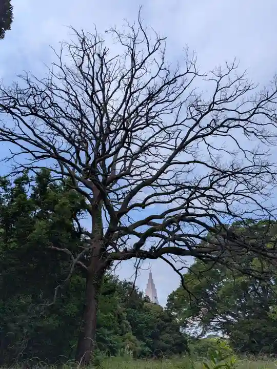 明治神宮(東京都)