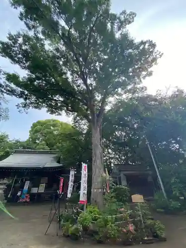 敷島神社(埼玉県)
