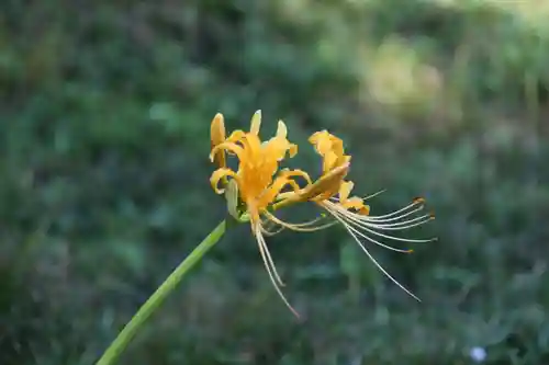国宝 大法寺(長野県)