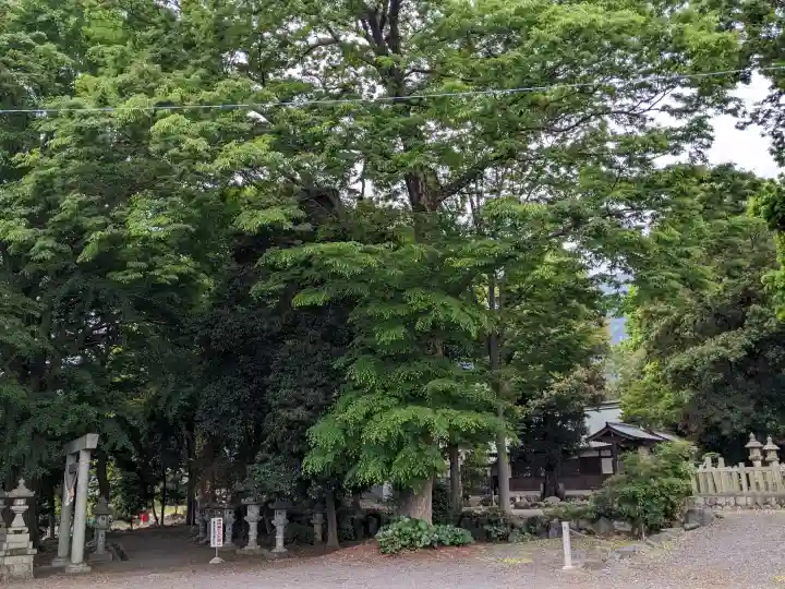 杉生神社の{uncategorized: "未分類", other: "その他", undefined: "問題あり", building: "その他建物", grave: "お墓", sacred_gate: "鳥居", guardian: "狛犬", statue: "像", buddha: "仏像", history: "歴史", nature: "自然", garden: "庭園", animal: "動物", pagoda: "塔", temizu: "手水舎", mountain_gate: "山門・神門", sanctuary: "本殿・本堂", subordinate: "末社・摂社", art: "芸術", scenery: "景色", jizo: "地蔵", ema: "絵馬", goshuin: "御朱印", omikuji: "おみくじ", items: "授与品その他", amulet: "お守り", goshuincho: "御朱印帳", eats: "食事", festival: "お祭り", votive_dance: "神楽", shichigosan: "七五三参", wedding: "結婚式", experience: "体験その他", initially: "初詣", around: "周辺", anti_infection: "感染症対策"}