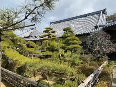 海福寺の{uncategorized: "未分類", other: "その他", undefined: "問題あり", building: "その他建物", grave: "お墓", sacred_gate: "鳥居", guardian: "狛犬", statue: "像", buddha: "仏像", history: "歴史", nature: "自然", garden: "庭園", animal: "動物", pagoda: "塔", temizu: "手水舎", mountain_gate: "山門・神門", sanctuary: "本殿・本堂", subordinate: "末社・摂社", art: "芸術", scenery: "景色", jizo: "地蔵", ema: "絵馬", goshuin: "御朱印", omikuji: "おみくじ", items: "授与品その他", amulet: "お守り", goshuincho: "御朱印帳", eats: "食事", festival: "お祭り", votive_dance: "神楽", shichigosan: "七五三参", wedding: "結婚式", experience: "体験その他", initially: "初詣", around: "周辺", anti_infection: "感染症対策"}