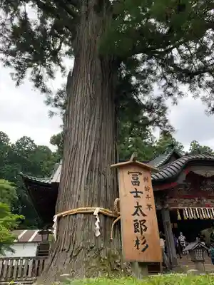 北口本宮冨士浅間神社(山梨県)