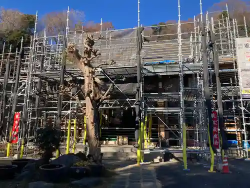 妙行寺(東京都)