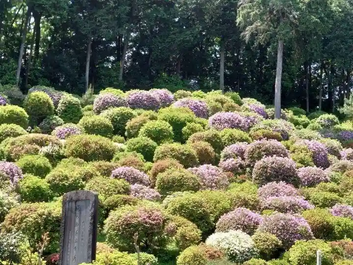 塩船観音寺(東京都)