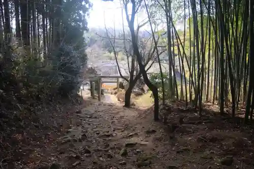白山比咩神社の景色