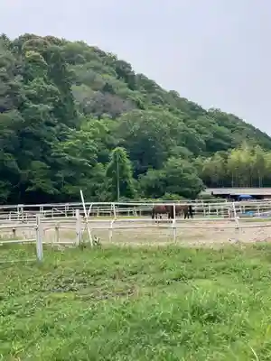 若都王子神社(兵庫県)