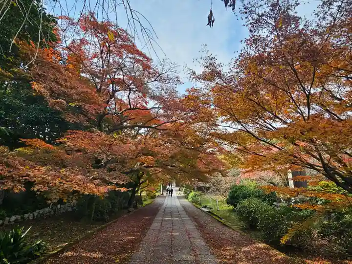 養源院(京都府)