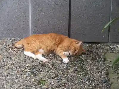 法雲寺(東京都)