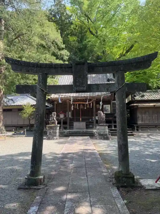 白瀧神社の{uncategorized: "未分類", other: "その他", undefined: "問題あり", building: "その他建物", grave: "お墓", sacred_gate: "鳥居", guardian: "狛犬", statue: "像", buddha: "仏像", history: "歴史", nature: "自然", garden: "庭園", animal: "動物", pagoda: "塔", temizu: "手水舎", mountain_gate: "山門・神門", sanctuary: "本殿・本堂", subordinate: "末社・摂社", art: "芸術", scenery: "景色", jizo: "地蔵", ema: "絵馬", goshuin: "御朱印", omikuji: "おみくじ", items: "授与品その他", amulet: "お守り", goshuincho: "御朱印帳", eats: "食事", festival: "お祭り", votive_dance: "神楽", shichigosan: "七五三参", wedding: "結婚式", experience: "体験その他", initially: "初詣", around: "周辺", anti_infection: "感染症対策"}