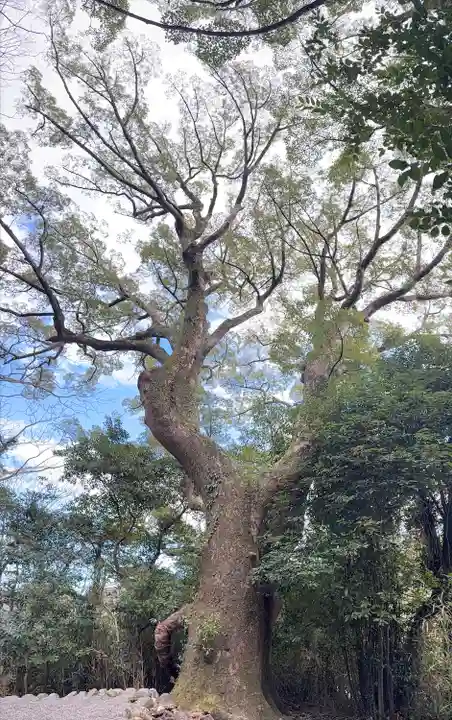 月讀宮(皇大神宮別宮)(三重県)