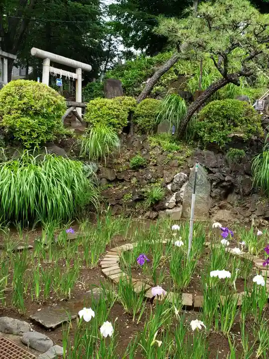 鳩森八幡神社の庭園