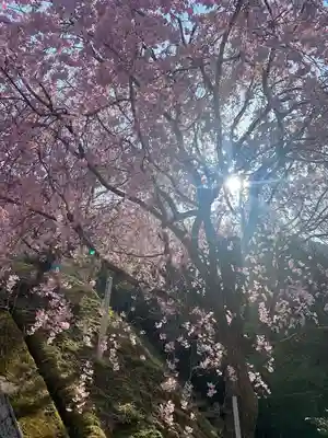 丹生川上神社(上社)の庭園