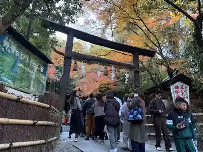 野宮神社(京都府)